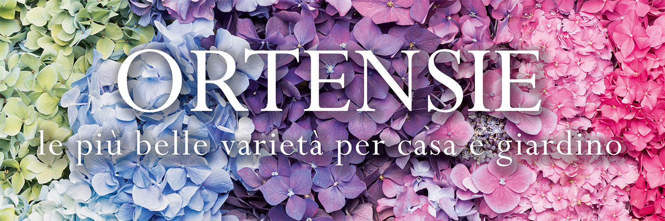 La mia antica cucina italiana